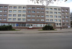 LSDDP politinė reklama &Scaron;irvintose