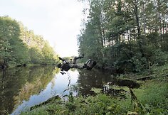 Geriausio pėstininkų skyriaus varžybų akimirkos