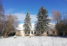 Nauji Eugenijaus Barzdžiaus namai