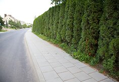 Atnaujinta sostinės Noragiškių gatvė