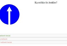 Bandomojo teorijos egzamino klausimas &bdquo;Regitroje&ldquo;