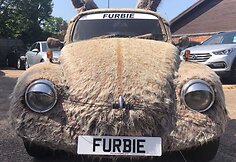 &bdquo;Volkswagen Beetle Furbie&ldquo; 