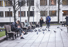 2019 m. Kalėdų laukimas Vilniuje: su debesimis, bet be sniego