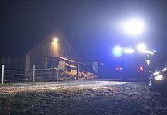 Avižienių seniūnijoje užsiliepsnojo žirgynas