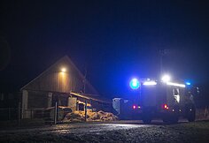 Avižienių seniūnijoje užsiliepsnojo žirgynas