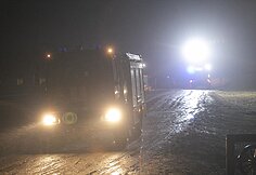 Avižienių seniūnijoje užsiliepsnojo žirgynas