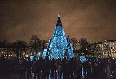 Vilniaus Kalėdinė eglė 2020