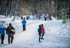 Žvarbi ir saulėta diena kviečia į gamtą