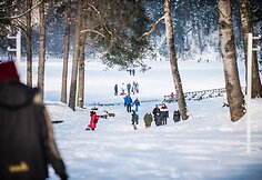 Žvarbi ir saulėta diena kviečia į gamtą