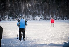 Žvarbi ir saulėta diena kviečia į gamtą