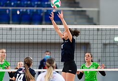 Lietuvos moterų tinklinio čempionate – dramatiškas „Kauno-VDU“ triumfas