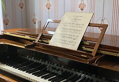 Tai nėra tikras pianinas, tačiau manoma, kad Aspazija ir J.Rainis kartu skambindavo