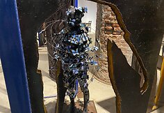 Vienas i&scaron; Venecijos architektūros bienalės arsenalų &bdquo;Among Diverse Beings&ldquo;, 2021 m. Gegužės 21 d. 
