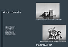 Kolektyvinė kūrybos rinktinė &bdquo;Karantino kronikos&ldquo;