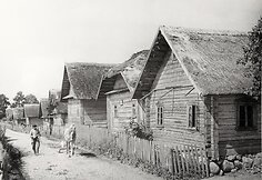 Poškonių kaimas 1951. Fot. Vacys Milius