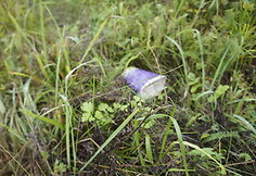 Žygio pėsčiomis &bdquo;Už &scaron;varią Lietuvą!&ldquo; akimirkos