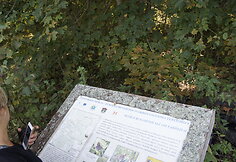 Žygio pėsčiomis &bdquo;Už &scaron;varią Lietuvą!&ldquo; akimirkos