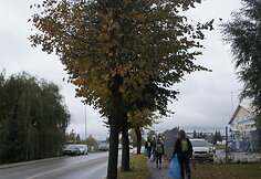 Žygio pėsčiomis &bdquo;Už &scaron;varią Lietuvą!&ldquo; akimirkos