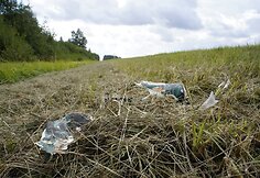 Žygio pėsčiomis &bdquo;Už &scaron;varią Lietuvą!&ldquo; akimirkos