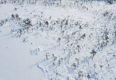 Varnikų pažintinis takas