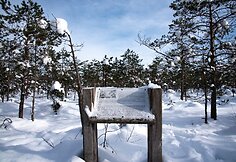 Varnikų pažintinis takas