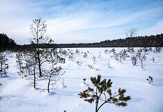 Varnikų pažintinis takas