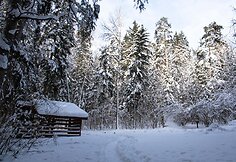 Varnikų pažintinis takas