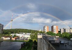 Vilniaus televizijos bok&scaron;tą po lietaus apgaubė vaivoryk&scaron;tė