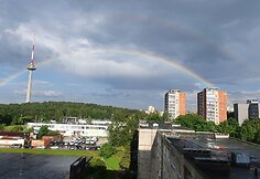 Vilniaus televizijos bok&scaron;tą po lietaus apgaubė vaivoryk&scaron;tė