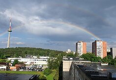 Vilniaus televizijos bok&scaron;tą po lietaus apgaubė vaivoryk&scaron;tė