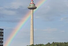 Vilniaus televizijos bok&scaron;tą po lietaus apgaubė vaivoryk&scaron;tė