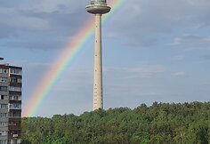 Vilniaus televizijos bok&scaron;tą po lietaus apgaubė vaivoryk&scaron;tė