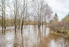 Patvinusi Lėvens upė Panevėžio rajone
