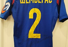 Paulius Janušauskas parduoda 15 metų kauptą kolekciją