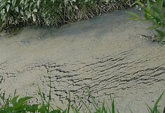 Nuotraukos pavadinimas