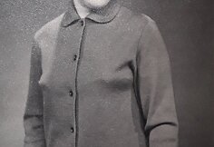 Istoriniai mezginiai