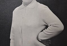 Istoriniai mezginiai
