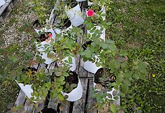 IMG_20240614_133345
