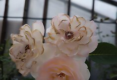 IMG_20240614_134025