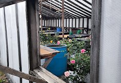 IMG_20240614_133745