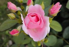 IMG_20240614_143318