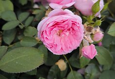 IMG_20240614_143322