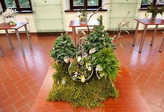 VU Botanikos sode jaunųjų floristų paroda