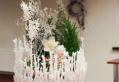 VU Botanikos sode jaunųjų floristų paroda
