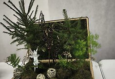 Kalėdinė dvasia gyva floristinėse kompozicijose