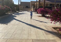 Raminta_3