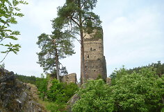 Gur&scaron;tejno pilis
