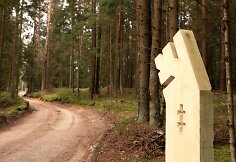 Algimanto apygardos partizanų kovos takais