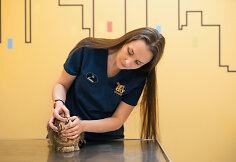 PetCity veterinarė