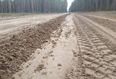 Vasario 26 dieną nugreidiruotas 133 numeriu pažymėtas kelias